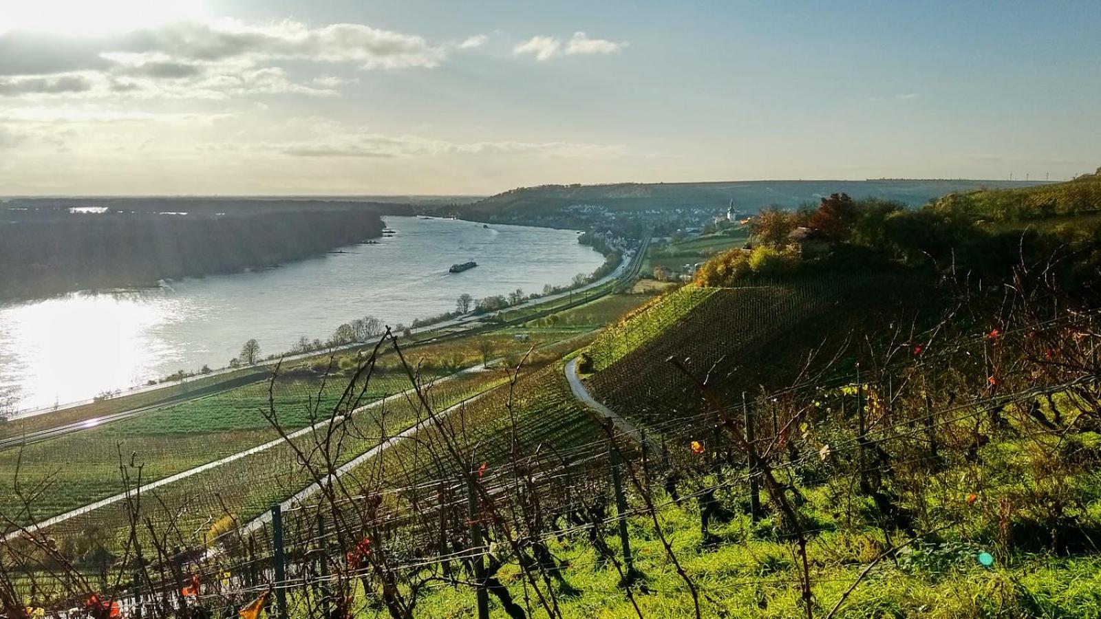 Ferienwohnungen Uhrturm Oppenheim Zewnętrze zdjęcie